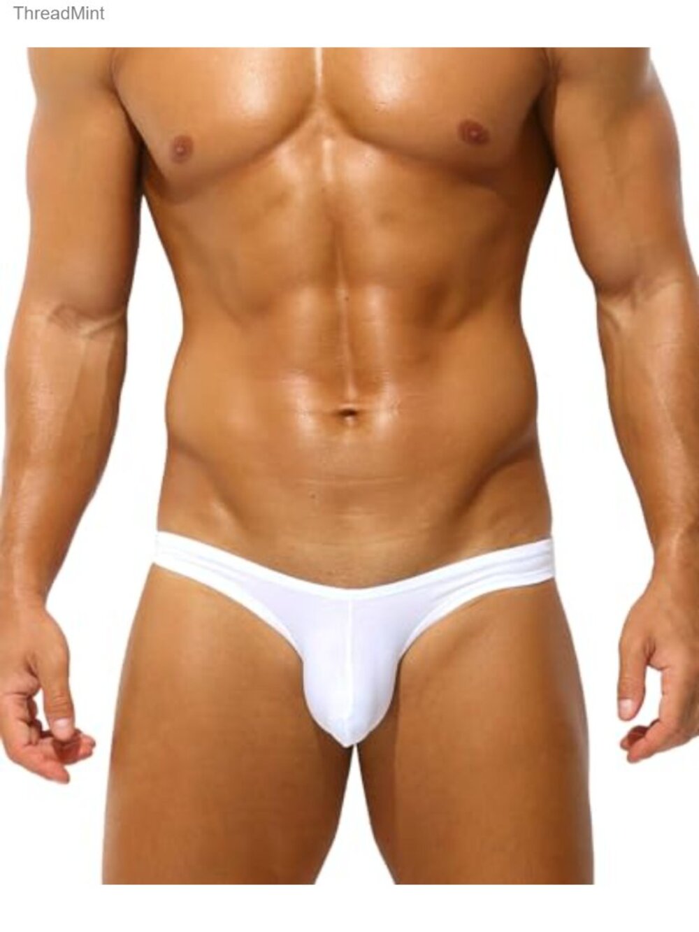 Men's Low Rise Modal Briefs Bulge Pouch Bikini Underwear
